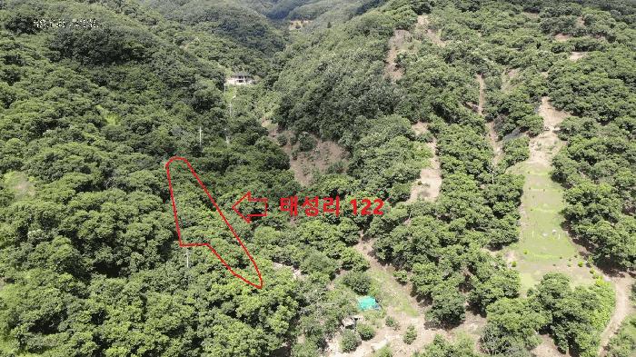 충청남도 공주시 정안면 태성리 217 답 경매 사진 5