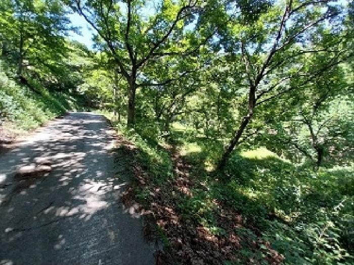 충청남도 공주시 정안면 태성리 218 답 경매 사진 8
