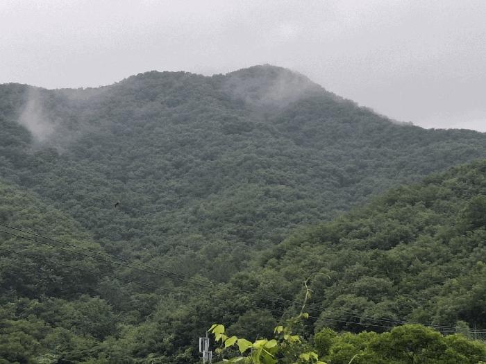 충청남도 공주시 우성면 죽당리 산21 임야 경매 사진 1