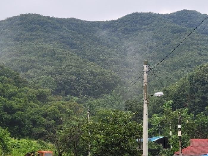 충청남도 공주시 우성면 죽당리 산21 임야 경매 사진 4