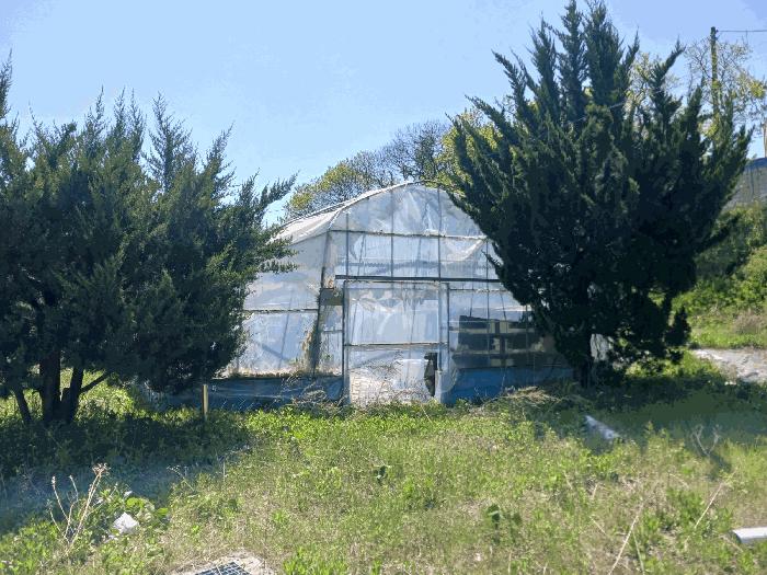 충청남도 공주시 계룡면 기산리 235-1 근린시설 경매 사진 12