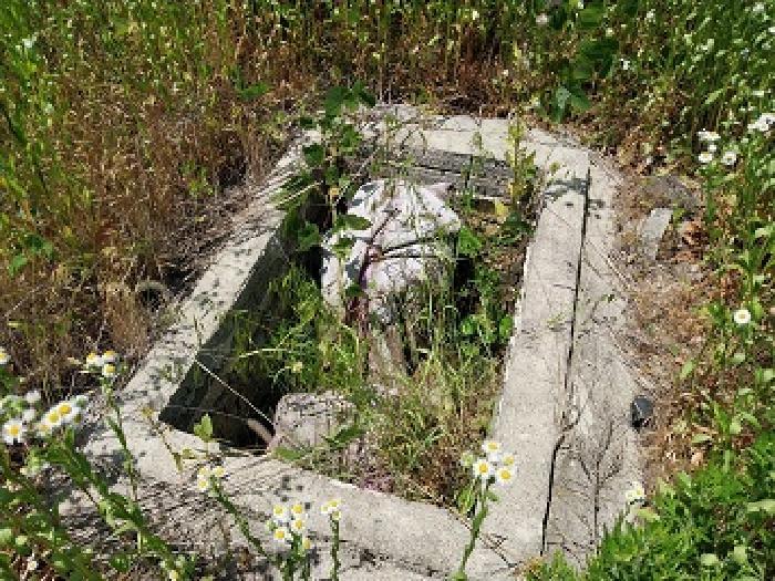 충청남도 공주시 계룡면 기산리 235-1 근린시설 경매 사진 19