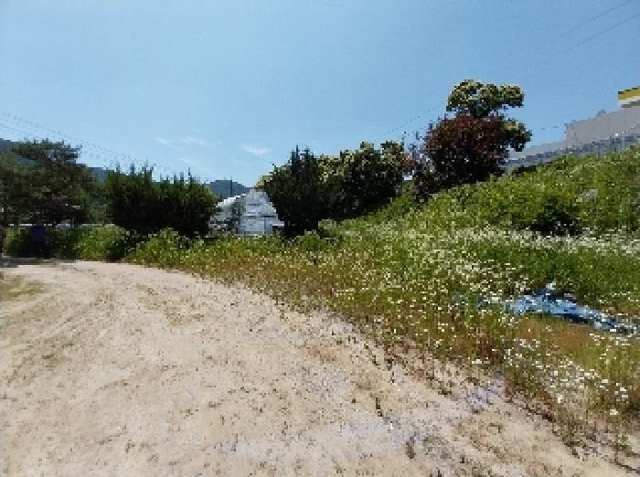 충청남도 공주시 계룡면 기산리 235-1 근린시설 경매 사진 20