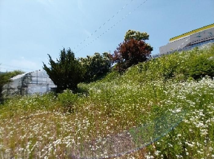 충청남도 공주시 계룡면 기산리 235-1 근린시설 경매 사진 26