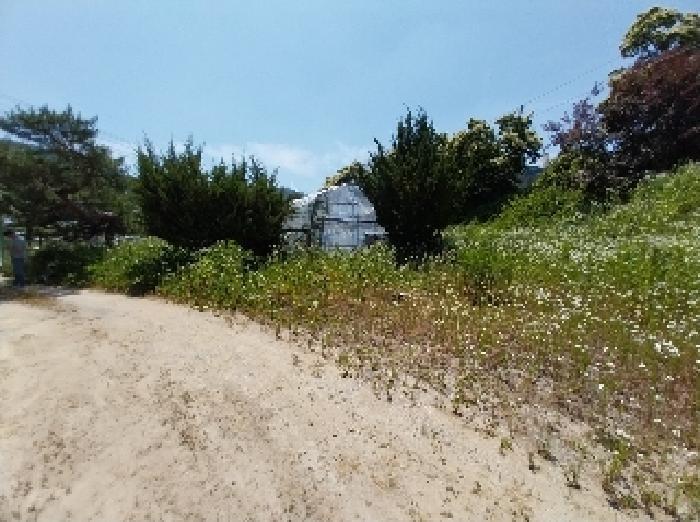 충청남도 공주시 계룡면 기산리 235-1 근린시설 경매 사진 27