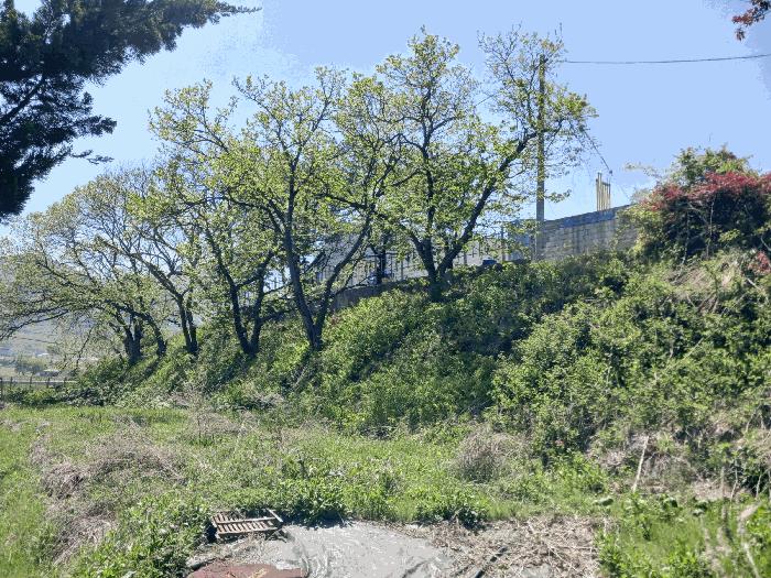 충청남도 공주시 계룡면 기산리 235-1 근린시설 경매 사진 7
