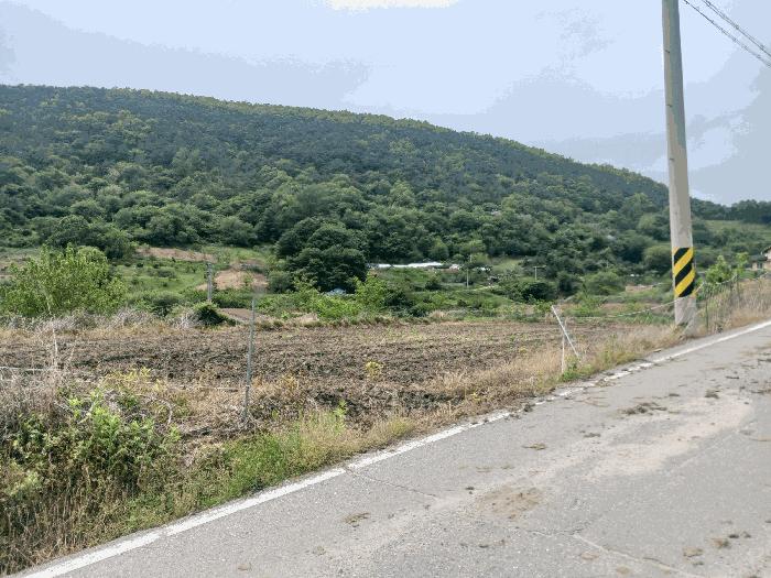 충청남도 공주시 유구읍 구계리 293 전 경매 사진 4