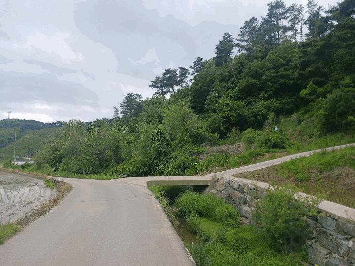 충청남도 공주시 유구읍 구계리 293 전 경매 사진 7
