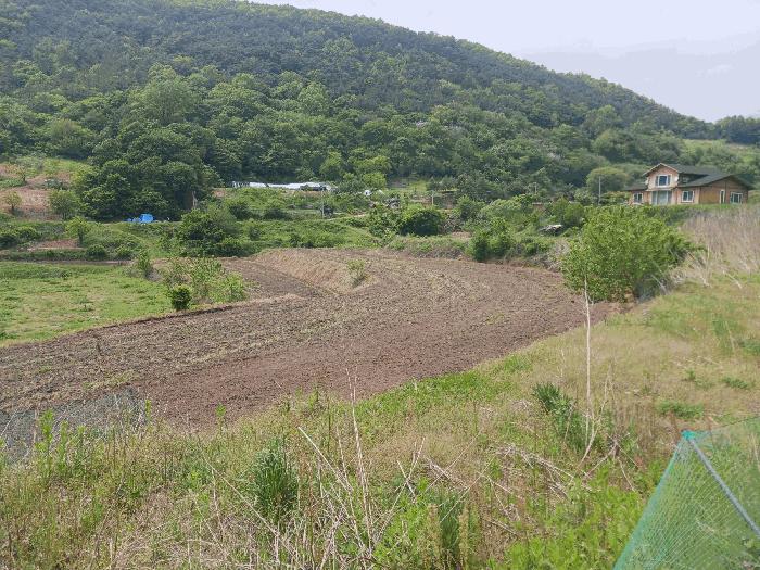 충청남도 공주시 답