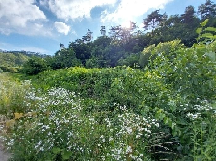 충청남도 공주시 유구읍 세동리 106 답 경매 사진 11