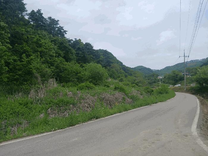 충청남도 공주시 유구읍 세동리 106 답 경매 사진 2