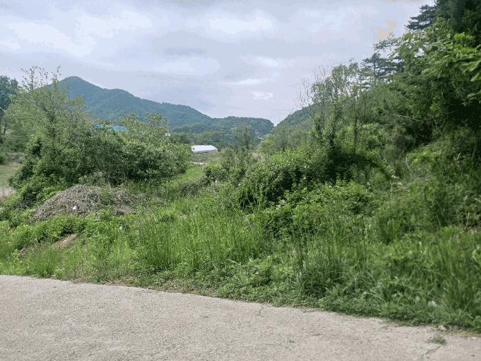 충청남도 공주시 유구읍 세동리 106 답 경매 사진 5