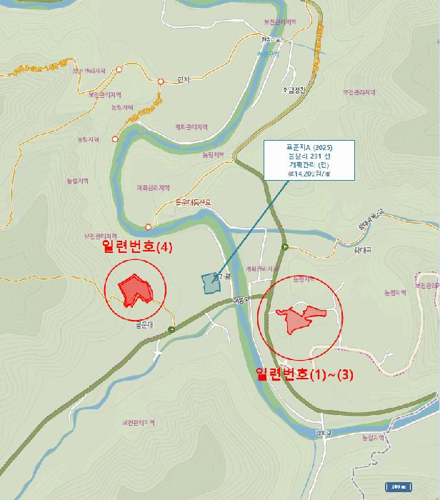 강원특별자치도 정선군 화암면 몰운리 391-1 전 경매 사진 14