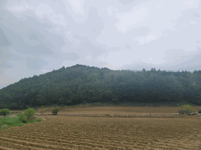 강원특별자치도 평창군 대관령면 병내리 353-2 대지 경매 사진 2