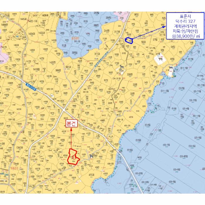 제주특별자치도 서귀포시 안덕면 덕수리 419 임야 경매 사진 10