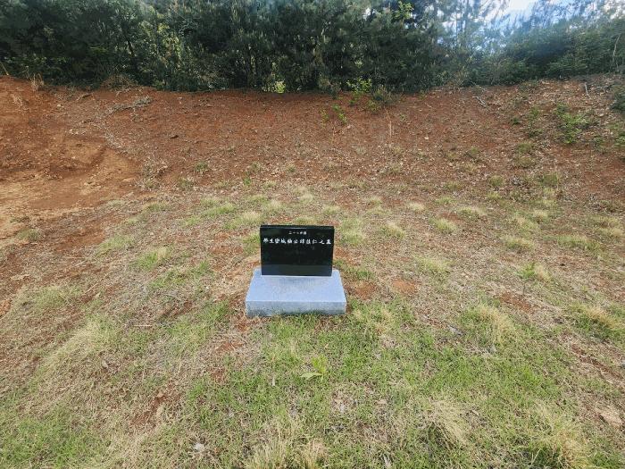 경상남도 김해시 율하동 산115 임야 경매 사진 10