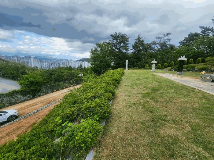 경상남도 김해시 율하동 산115 임야 경매 사진 11