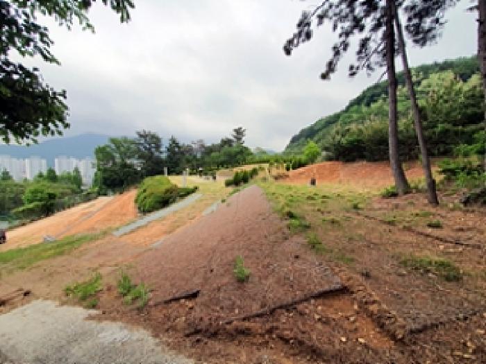 경상남도 김해시 율하동 산115 임야 경매 사진 18