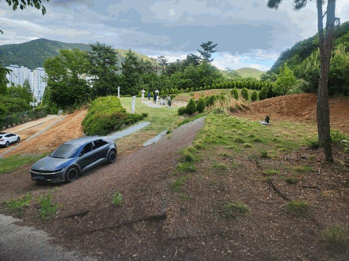 경상남도 김해시 율하동 산115 임야 경매 사진 8