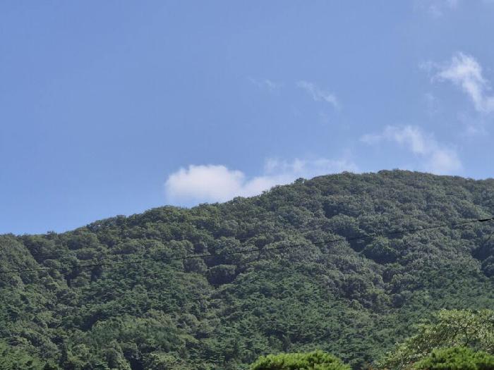 전라남도 담양군 대덕면 입석리 산10 임야 경매 사진 5