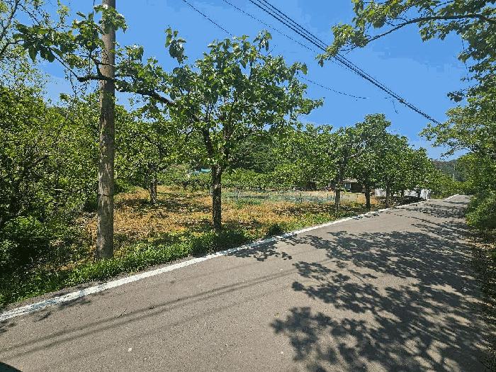 경상북도 청도군 이서면 칠곡리 103 과수원 경매 사진 3
