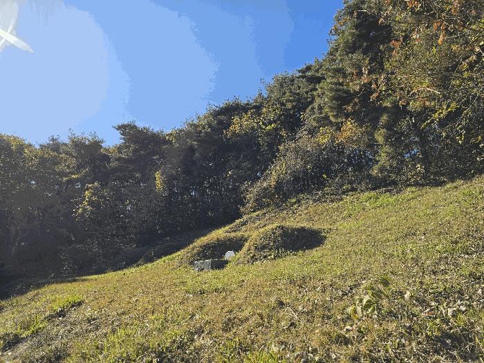 경상북도 성주군 월항면 지방리 산72-1 임야 경매 사진 1
