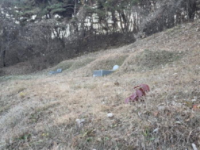 경상북도 성주군 월항면 지방리 산72-1 임야 경매 사진 4