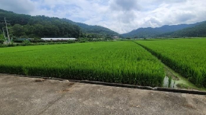 경상남도 함안군 대산면 옥렬리 1304-1 전 경매 사진 7
