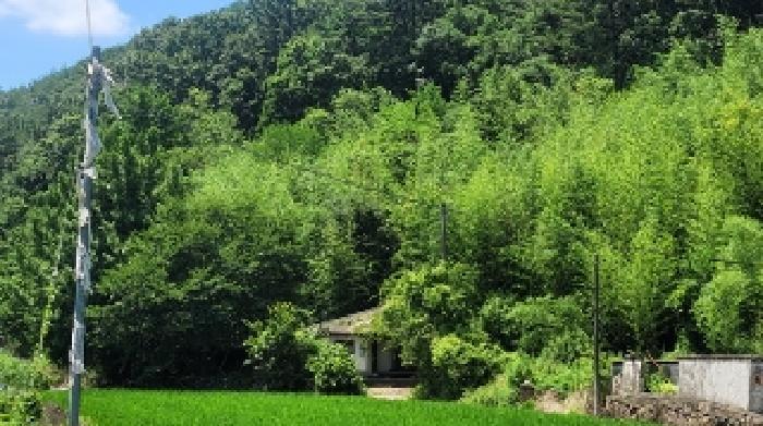 경상남도 의령군 정곡면 상촌리 455 주택 경매 사진 12