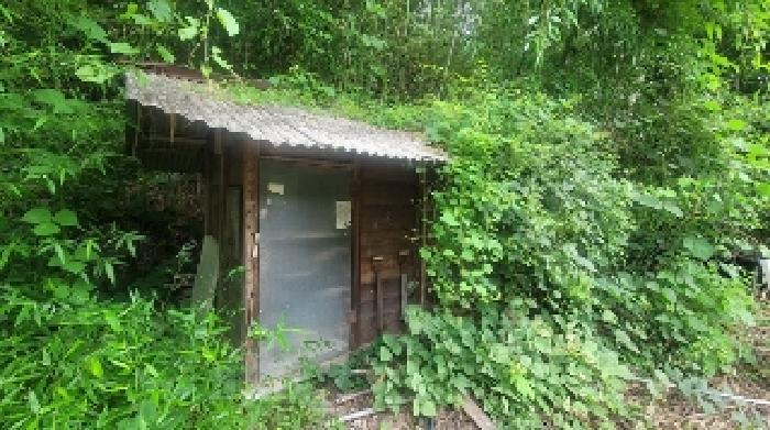 경상남도 의령군 정곡면 상촌리 455 주택 경매 사진 14