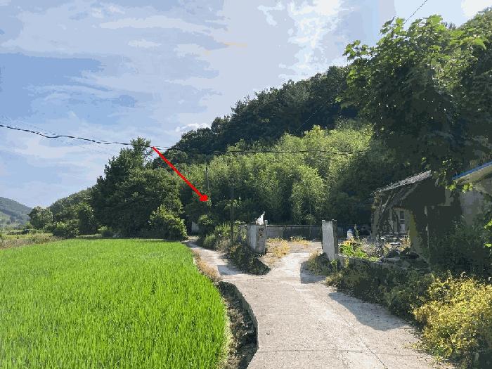 경상남도 의령군 정곡면 상촌리 455 주택 경매 사진 6