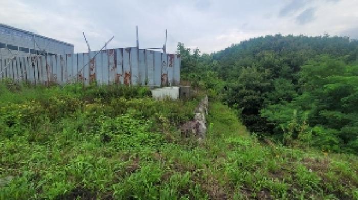 경상남도 함안군 군북면 월촌리 293 임야 경매 사진 8