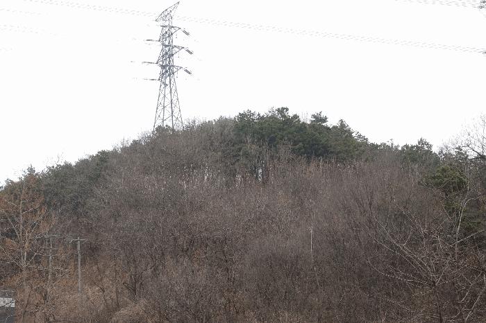 경기도 화성시 팔탄면 지월리 산95 임야 경매 사진 5