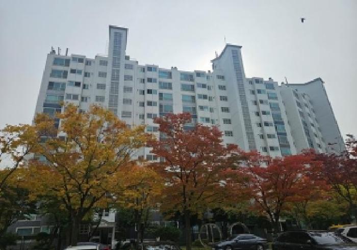 경기도 평택시 포승읍 도곡리 1109 포승삼부르네상스 2단지 205동 3층301호 아파트 경매 사진 4