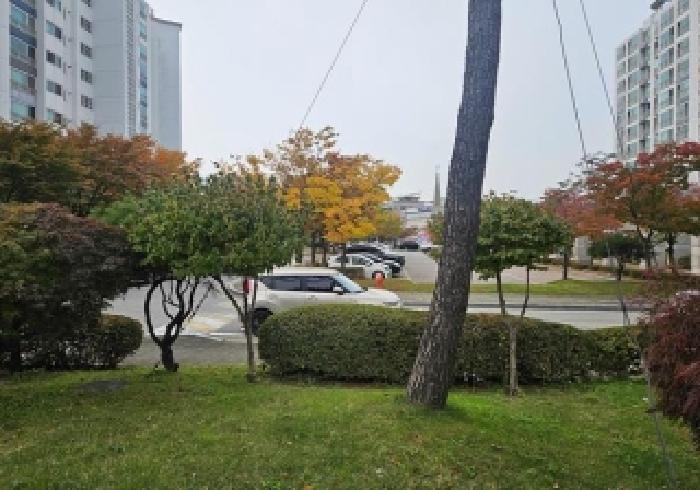 경기도 평택시 포승읍 도곡리 1109 포승삼부르네상스 2단지 205동 3층301호 아파트 경매 사진 5