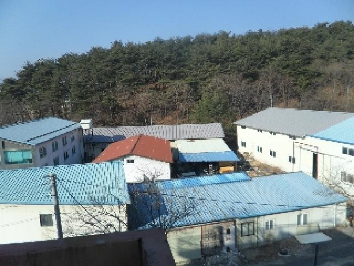 강원특별자치도 강릉시 연곡면 방내리 342 공장 경매 사진 7