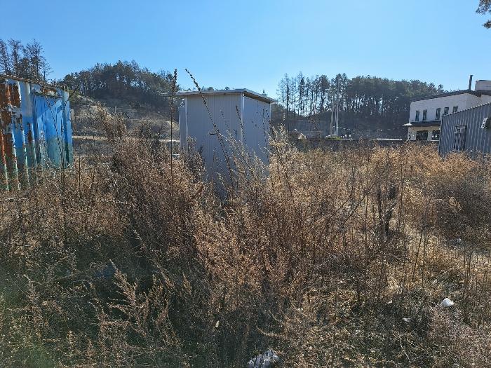 충청북도 제천시 왕암동 89-71 대지 경매 사진 3