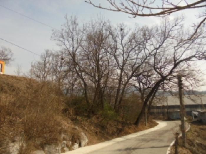 충청북도 음성군 감곡면 상우리 506 주택 경매 사진 11