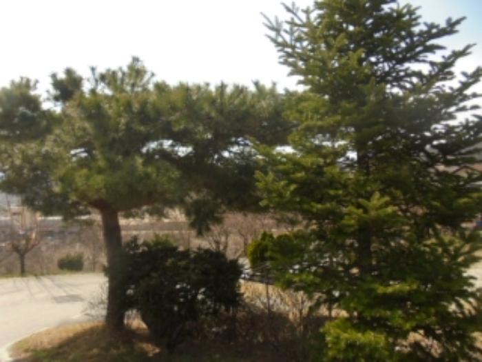 충청북도 음성군 감곡면 상우리 506 주택 경매 사진 36