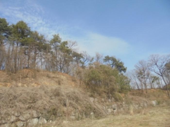 충청북도 음성군 감곡면 상우리 506 주택 경매 사진 7