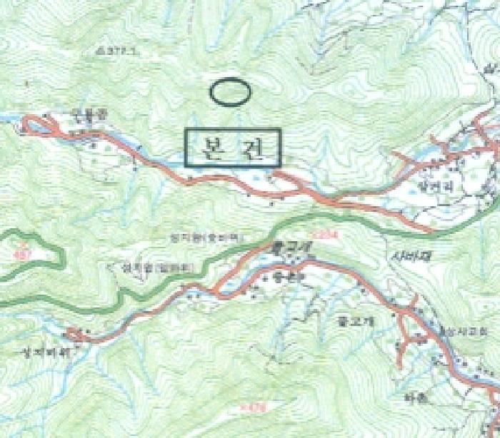 강원특별자치도 삼척시 미로면 내미로리 산419 임야 경매 사진 5