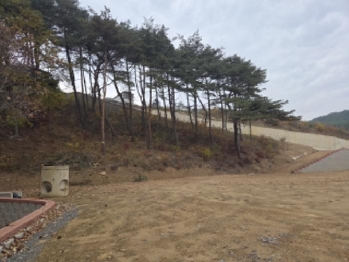 강원특별자치도 삼척시 근덕면 상맹방리 267 전 경매 사진 11