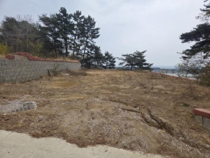 강원특별자치도 삼척시 근덕면 상맹방리 267 전 경매 사진 15