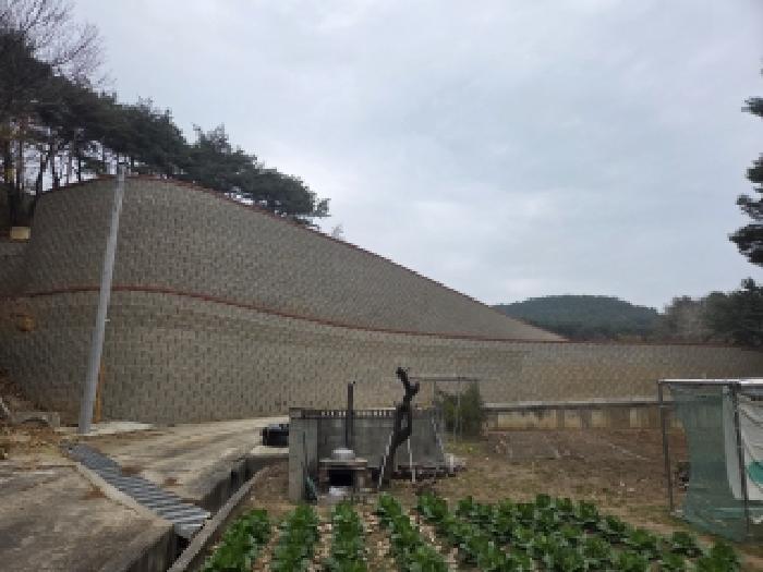 강원특별자치도 삼척시 근덕면 상맹방리 267 전 경매 사진 18