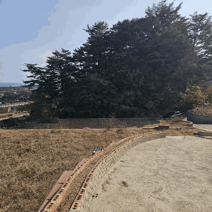 강원특별자치도 삼척시 근덕면 상맹방리 267 전 경매 사진 2