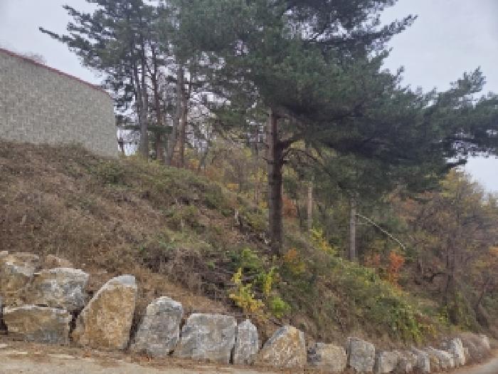 강원특별자치도 삼척시 근덕면 상맹방리 267 전 경매 사진 7
