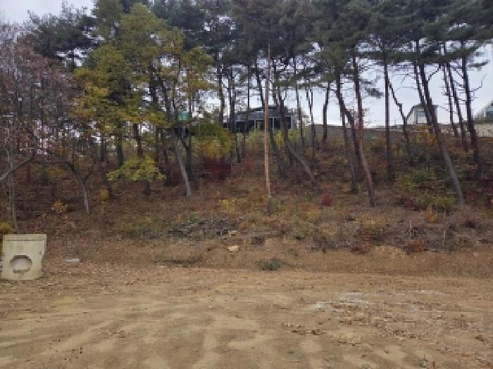 강원특별자치도 삼척시 근덕면 상맹방리 267 전 경매 사진 9