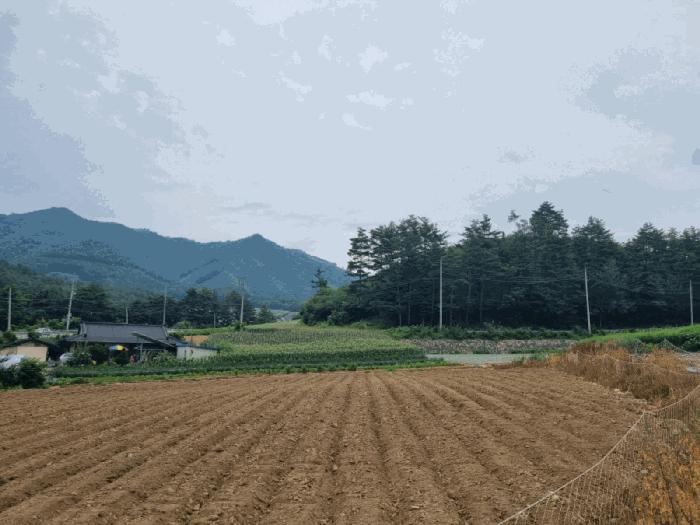 강원 삼척시 하천