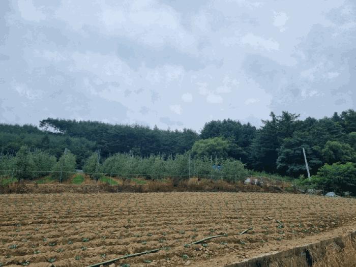강원특별자치도 삼척시 하장면 장전리 180-1 하천 경매 사진 2