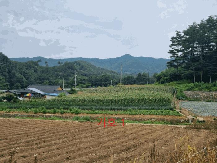 강원특별자치도 삼척시 하장면 장전리 180-1 하천 경매 사진 3
